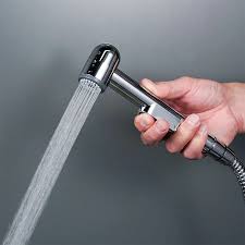 Muslim Shower Replacement