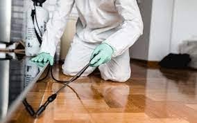 General Fumigation all house ( domestic)